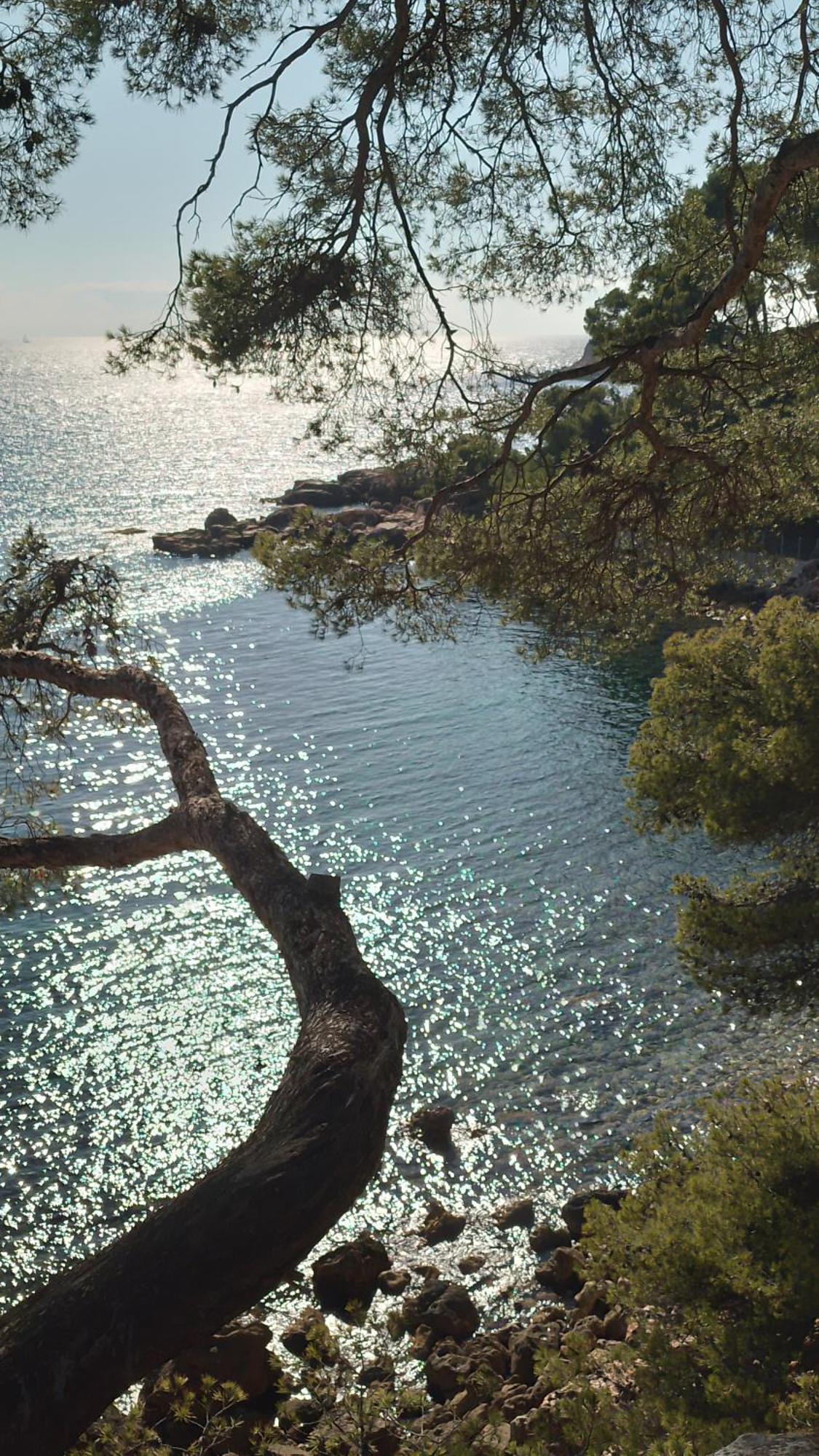 Les Pieds Tanques - Chambres D'Hotes - Calanque A Pieds Сен-Сір-сюр-Мер Екстер'єр фото